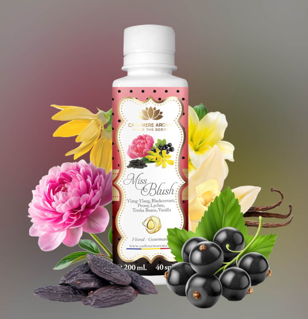 Set "New Obsession Box"